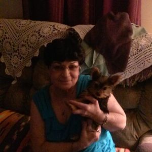 Meet your Posher, Karen